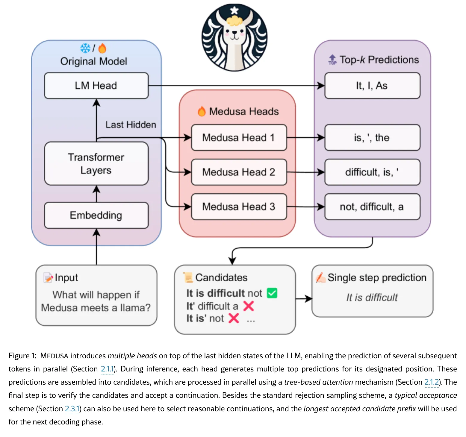 MEDUSA overview