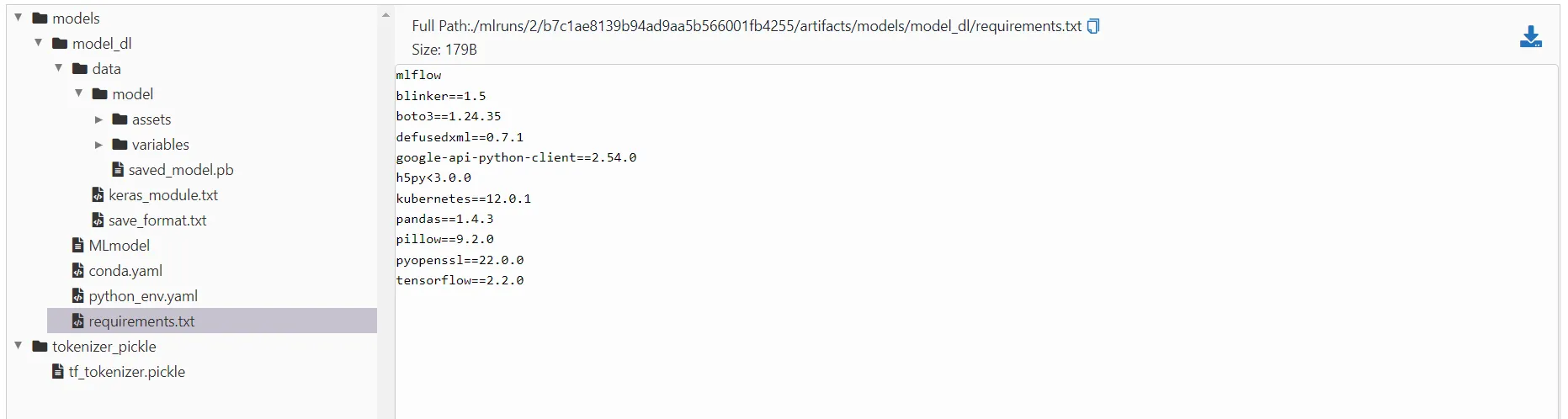 MLflow run details showing saved model, tokenizer, and metadata