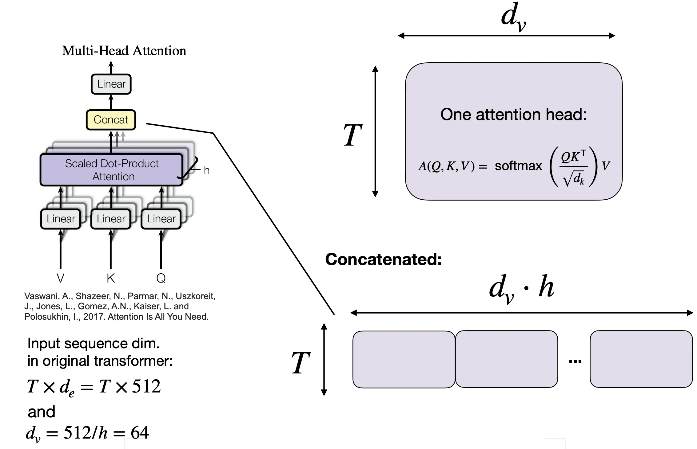 Input and output dimensions of multi-head attention
