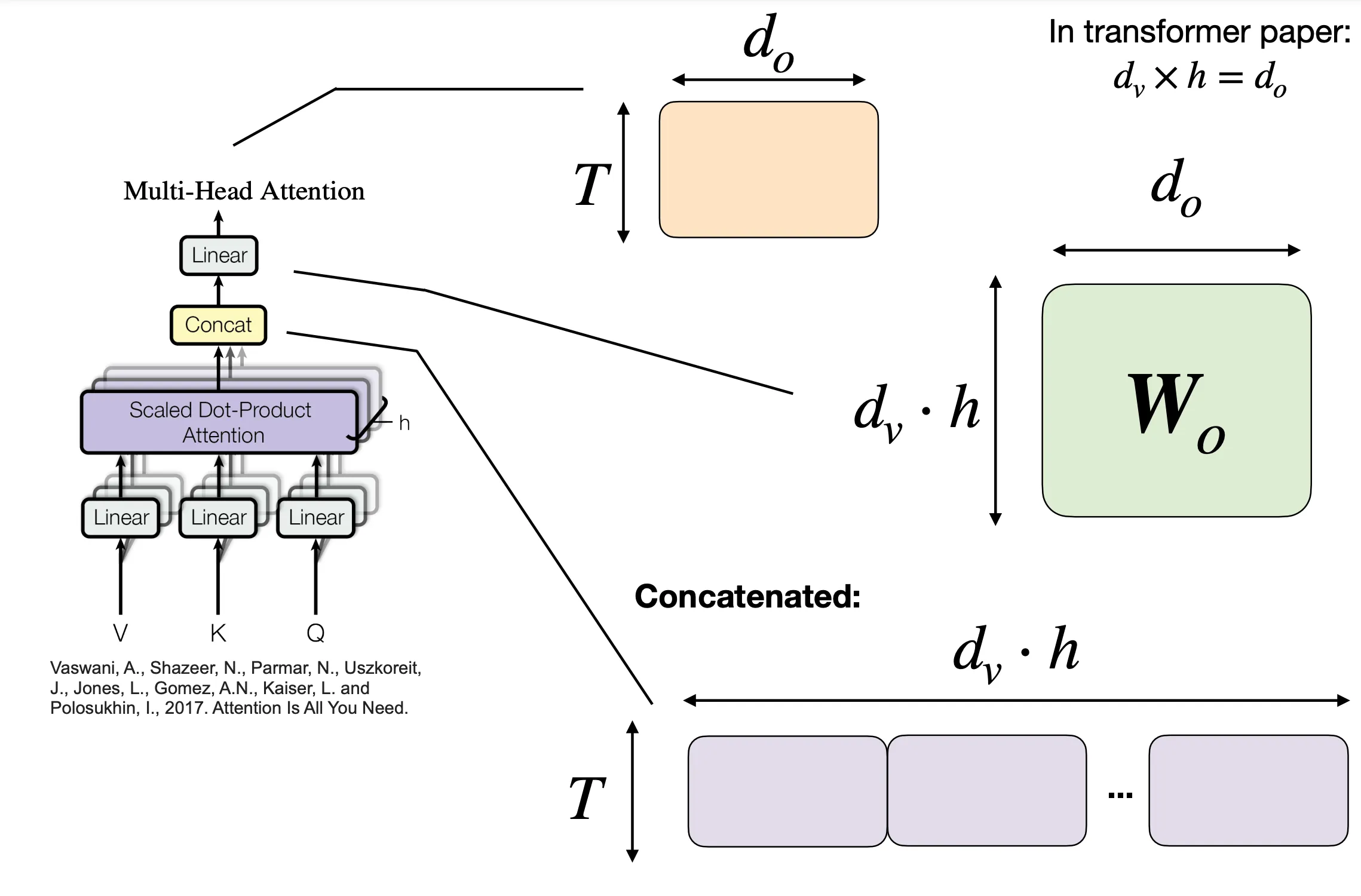 Linear layer dimensions after concatenation in multi-head attention